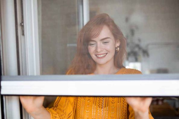 Insektenschutz für das Fenster